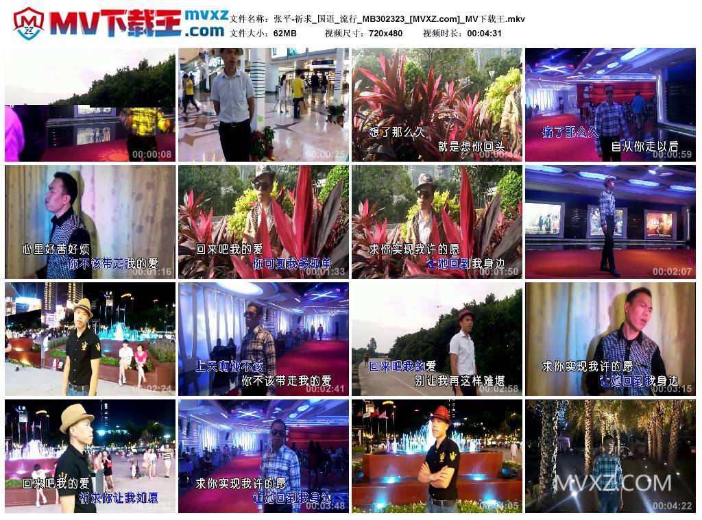 张平-祈求_国语_流行_MB302323